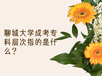 聊城大学成考专科层次指的是什么?