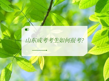 山东成考考生如何报考