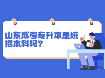 山东成考专升本是统招本科吗?