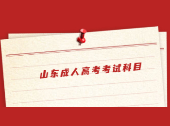 山东成人高考考试科目