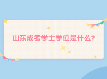 山东成考学士学位是什么?