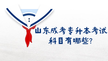 山东成考专升本考试科目有哪些?