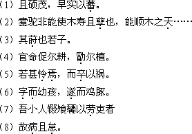 成考《大学语文》考试大纲