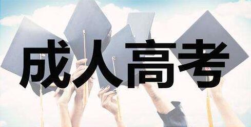 2020年山东成人高考高起专语文试题(07.02)每日一练