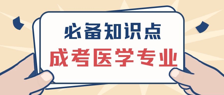 成考知识点