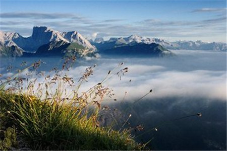 山东成人高考 成考院校