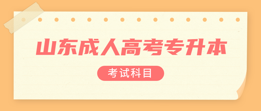 山东成人高考专升本考试科目
