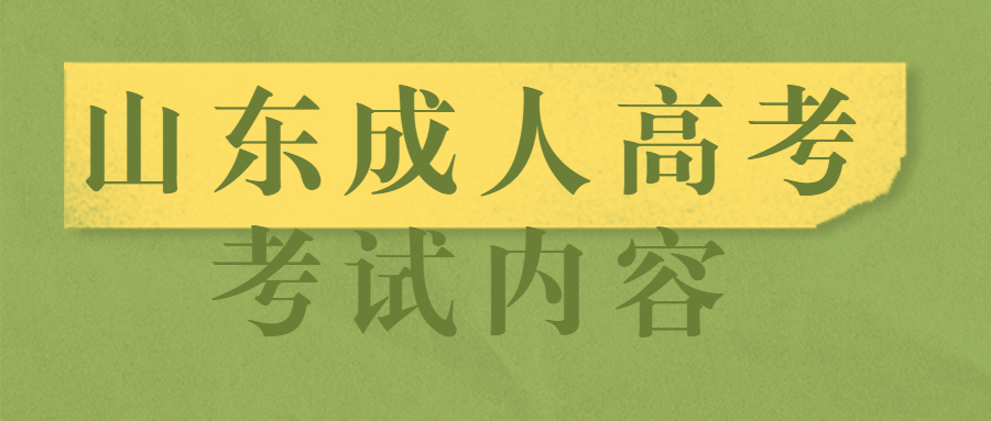 山东成人高考考试内容