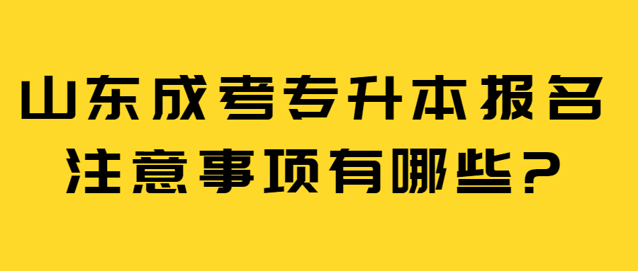 山东成考专升本报名