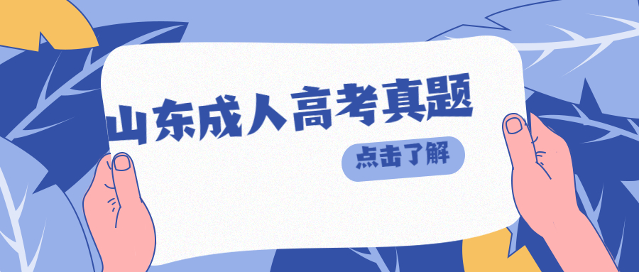 山东成人高考真题