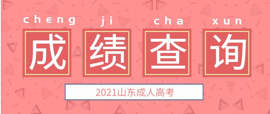 成考成绩查询