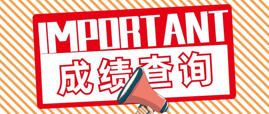成考成绩查询