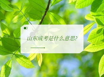 山东成考是什么意思