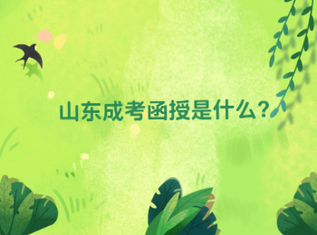 山东成考函授是什么