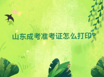 山东成考准考证怎么打印