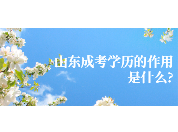 山东成考学历的作用是什么?