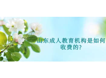 山东成人教育机构是如何收费的?