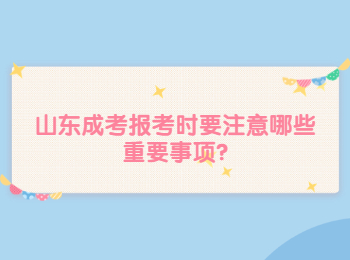 山东成考报考时要注意哪些重要事项?