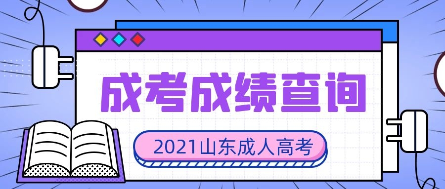 山东成考成绩查询